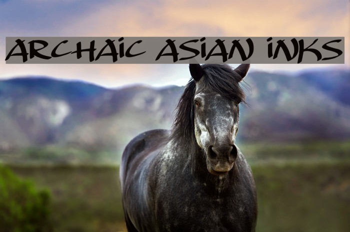Archaic Asian Inks Font examples