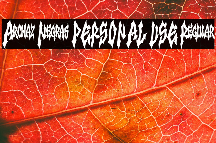 Archaz Negras PERSONAL USE Regular Example 1