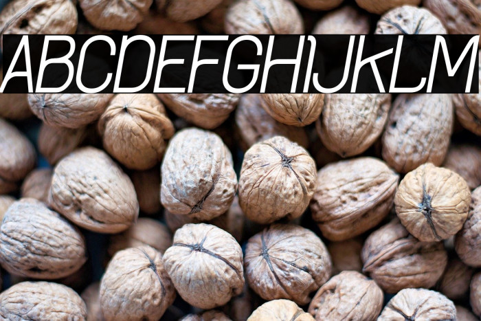 Archee Demo Italic Example 2