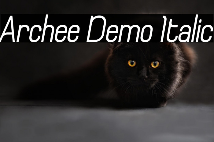 Archee Demo Italic Example 2