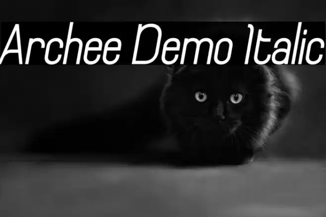 Archee Demo Italic Font examples