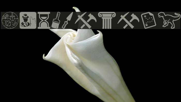 Archeology Font examples