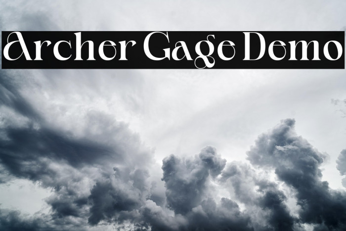 Archer Gage Demo Example 1