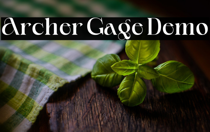 Archer Gage Demo Example 2