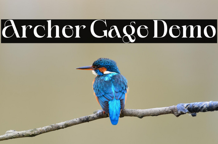 Archer Gage Demo Example 3