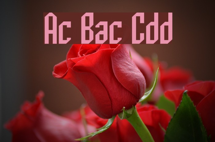 Archery Black Condensed Font examples