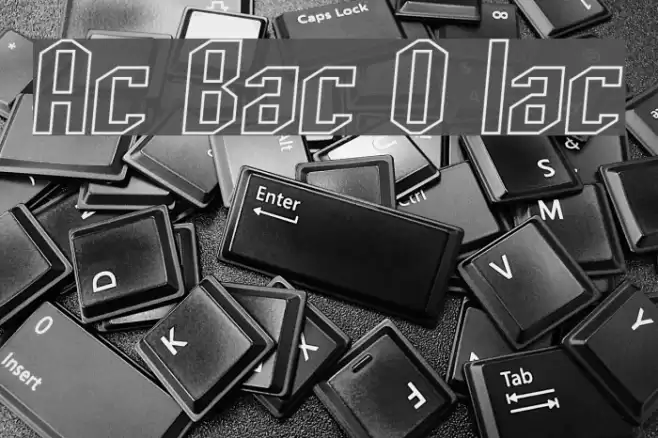 Archery Black Outline Italic Font examples