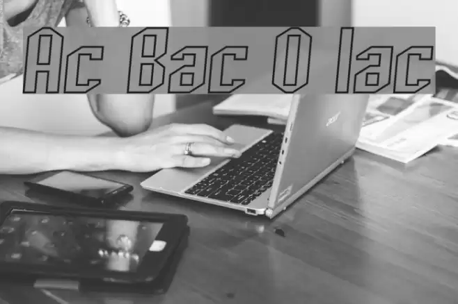 Archery Black Outline Italic Font examples