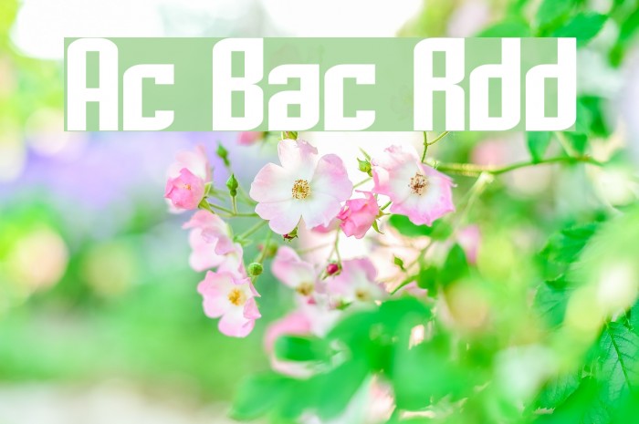 Archery Black Rounded Font examples
