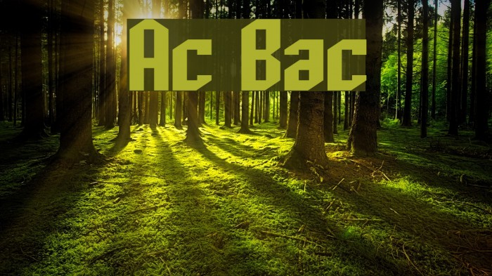 Archery Black Font examples
