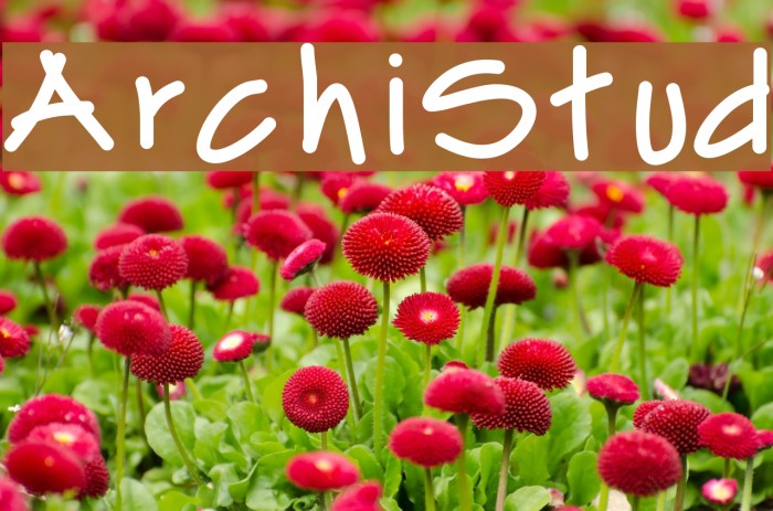 ArchiStud Font examples