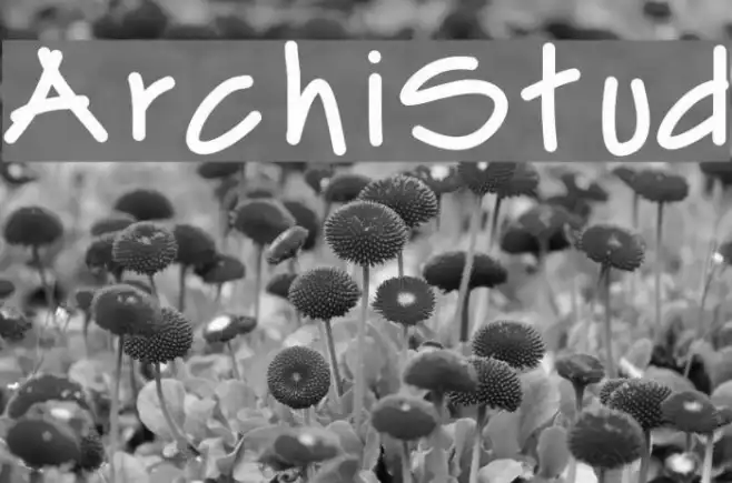 ArchiStud Example 2