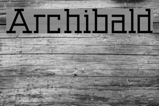 Archibald フォント examples