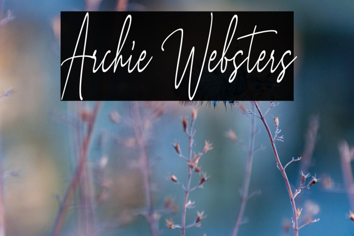 Archie Websters Example 1