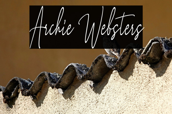 Archie Websters Example 2