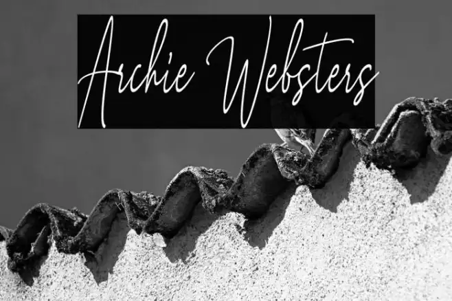 Archie Websters Example 2