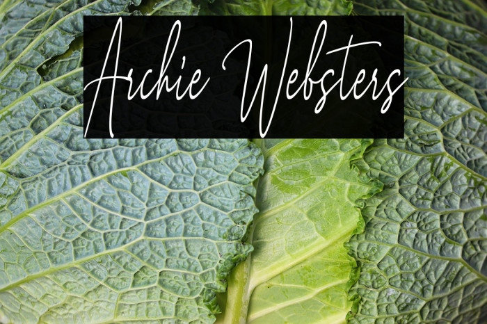 Archie Websters Example 3