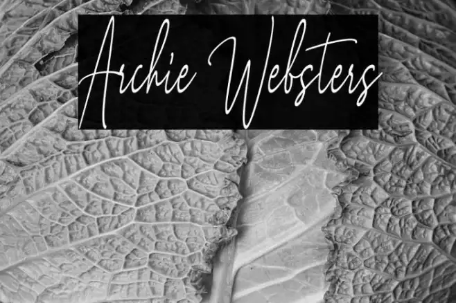 Archie Websters Example 3