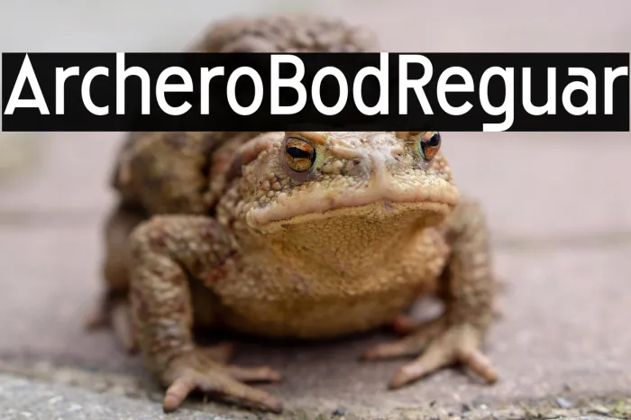 Archiero Bold Regular Example 3