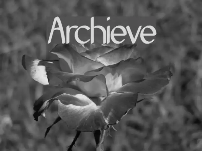 Archieve Example 1