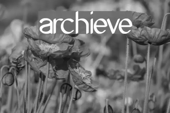 Archieve フォント examples