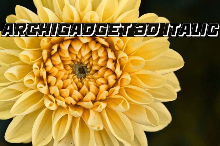 Archigadget 3D Italic Example 1