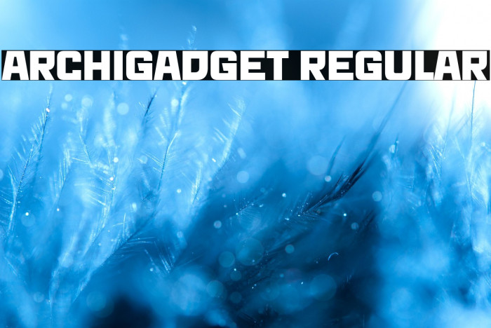 Archigadget Regular Example 3