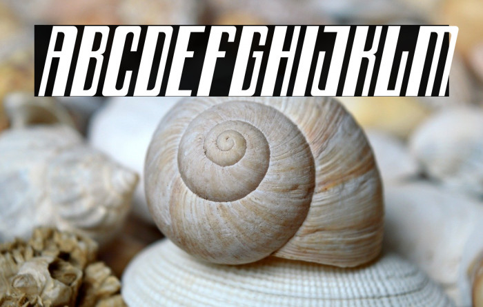 Archimate Italic Example 1