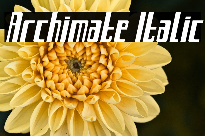 Archimate Italic Example 2