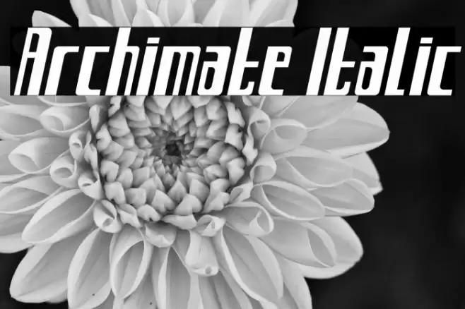 Archimate Italic Font examples