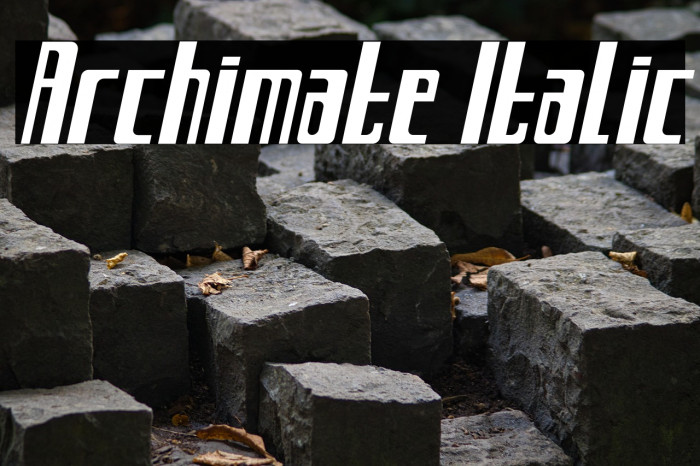 Archimate Italic Example 3