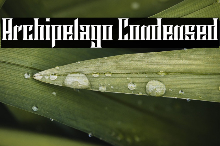 Archipelago Condensed Example 1