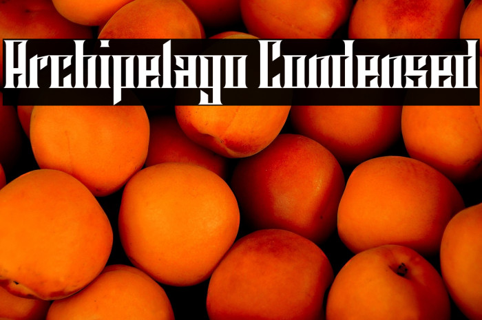 Archipelago Condensed Example 3