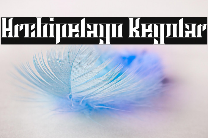 Archipelago Regular Example 2