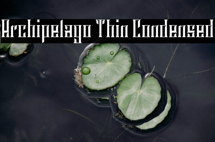Archipelago Thin Condensed Example 2