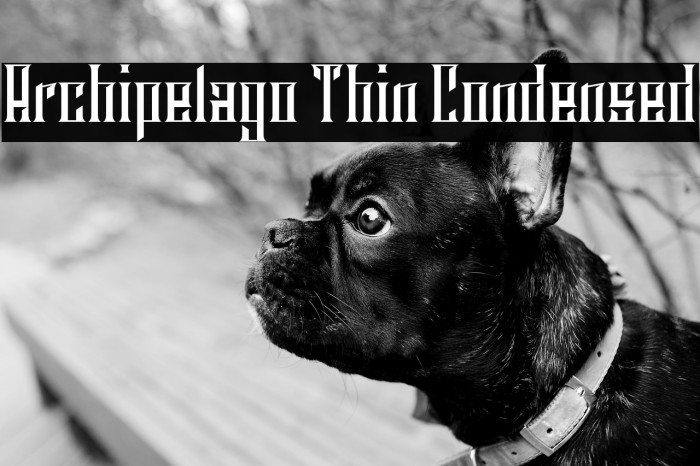 Archipelago Thin Condensed Example 3