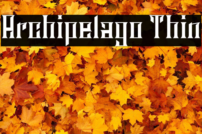 Archipelago Thin Example 2