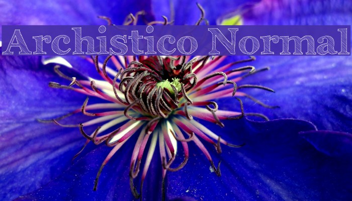 Archistico Normal Font examples
