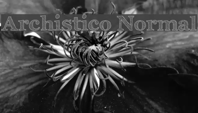 Archistico Normal Шрифта examples
