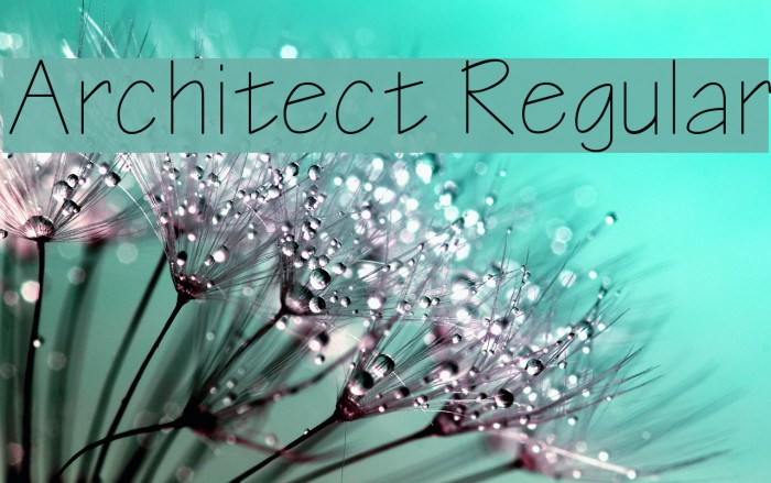 Architect Regular Font examples