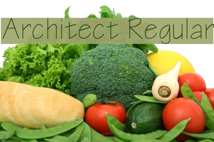 Architect Regular Font examples