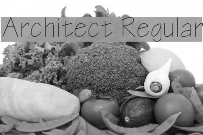 Architect Regular Example 2