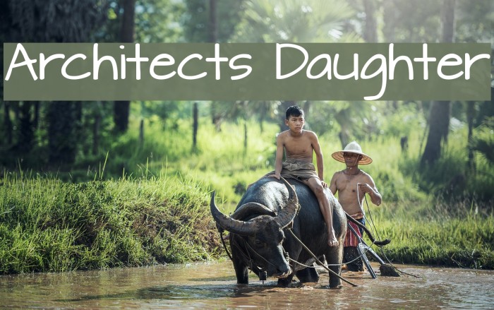 Architects Daughter Font examples