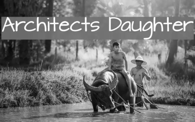 Architects Daughter Шрифта examples