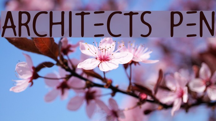 Architects Pen Font examples