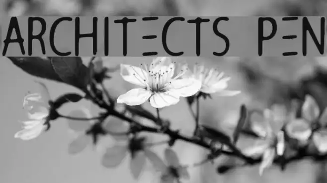 Architects Pen Example 1