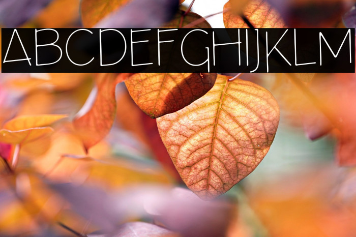 ArchitectsDraft Example 2