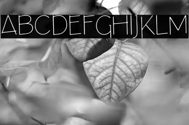 ArchitectsDraft Font examples