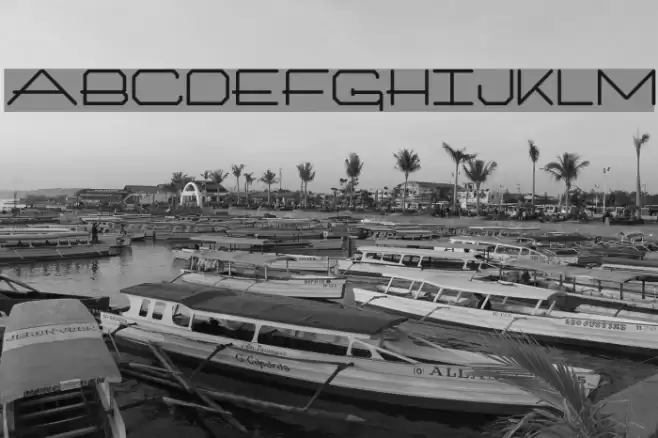 Architext Bold Font examples