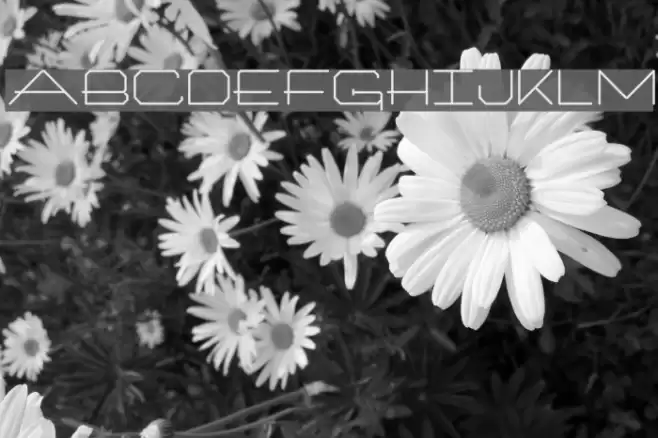 ArchitextOneType Fuentes examples